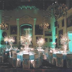 fwthumbTwiggy martini vases Wentworth Golf Club Lilys Flowers Lightwater.jpg